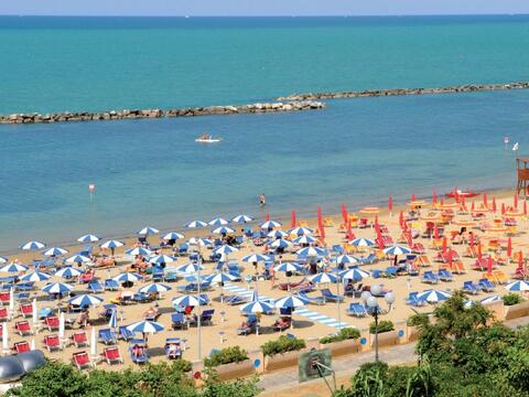 sonderfahrt-igea-marina-oder-cattolica