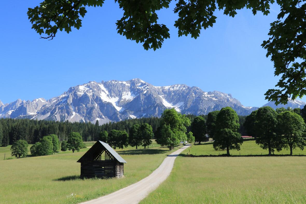 dachstein_mountains-4329137_bild-von-marjon-besteman-auf-pixabay