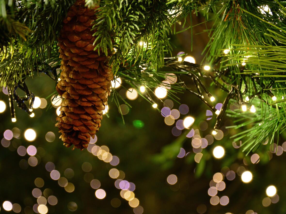 weihnachtsmarkt-allgemein_christmas-garland-3891232_bild-von-peggychoucair-auf-pixabay