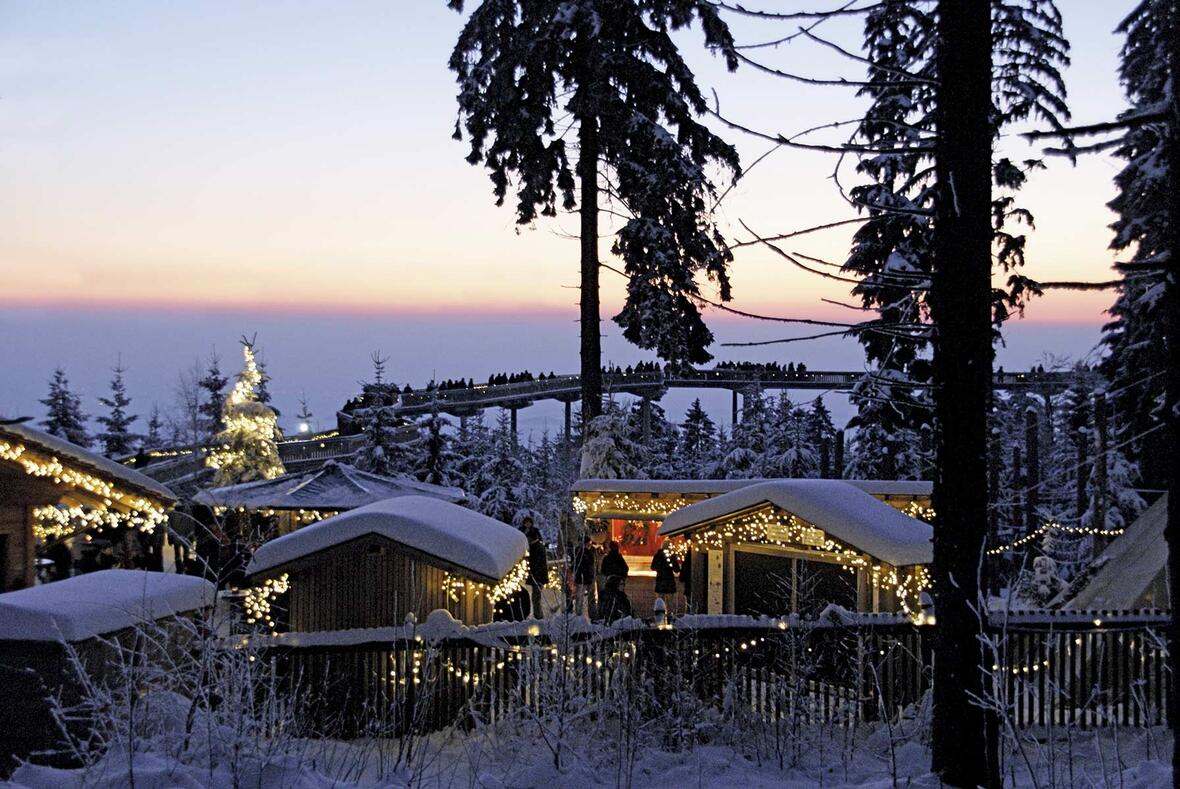 waldwipfelpfad-sankt-englmar_waldweihnacht-43