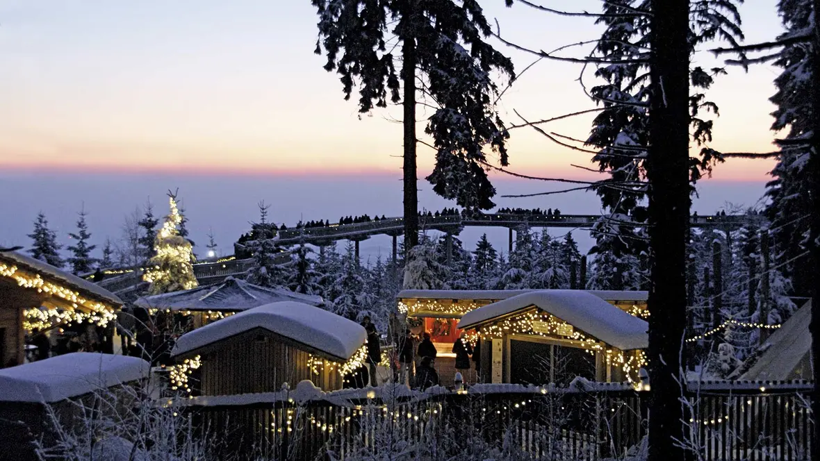waldwipfelpfad-sankt-englmar_waldweihnacht-43