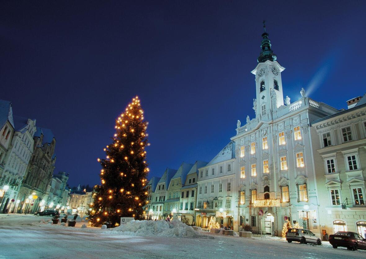steyr