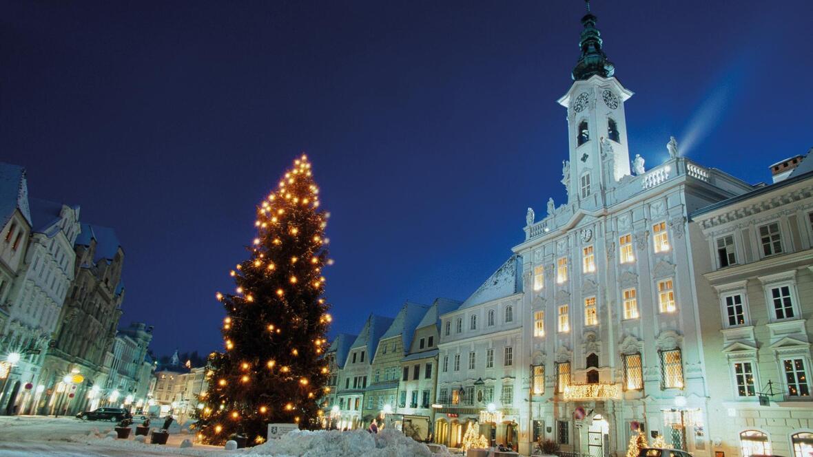 steyr