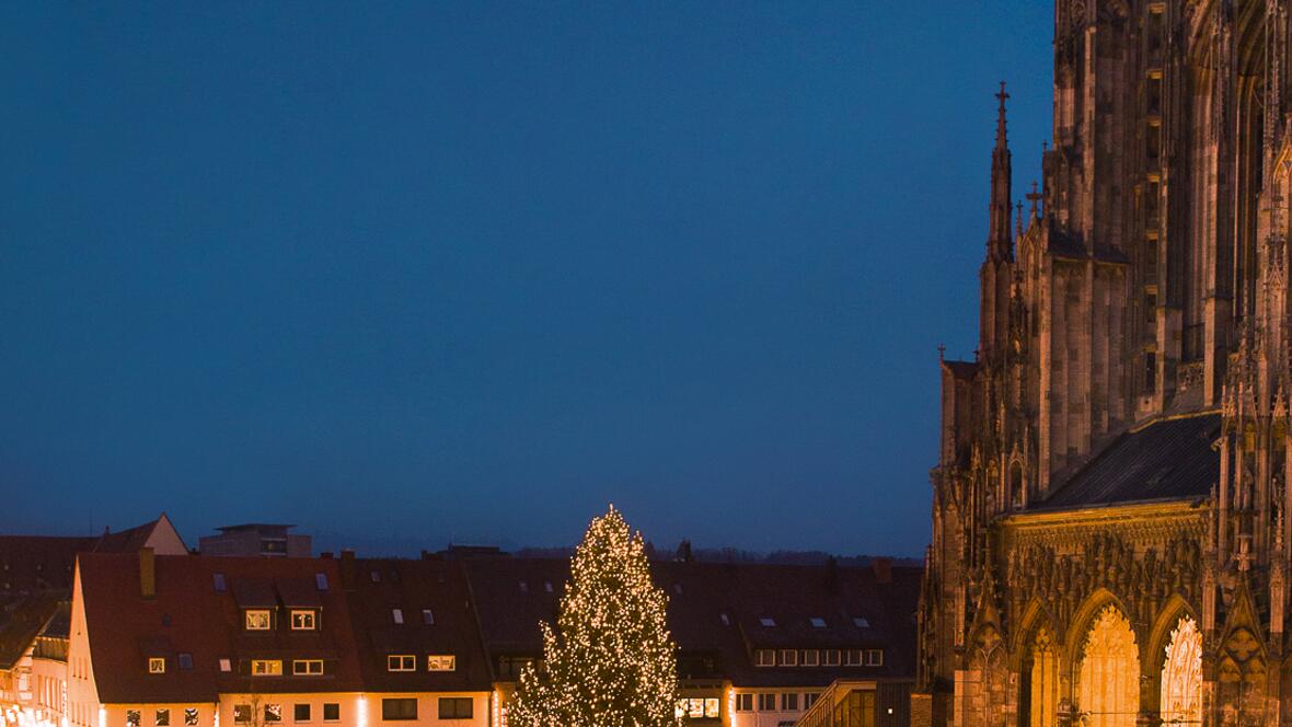 ulm1