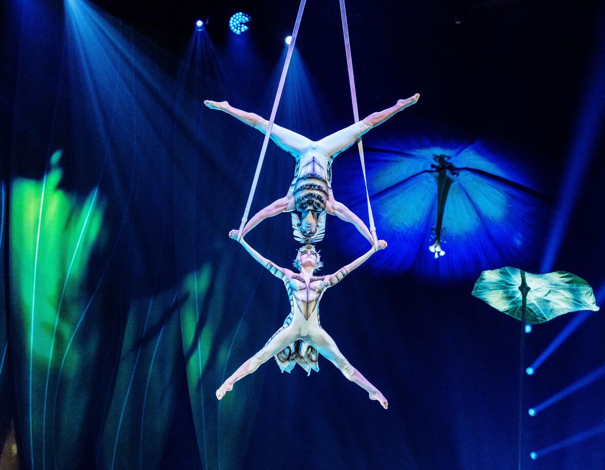 cirque-du-soleil